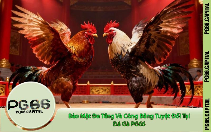 Bảo Mật Đa Tầng Và Công Bằng Tuyệt Đối Tại Đá Gà PG66